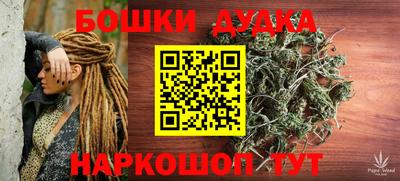 PSILOCYBIN Тула