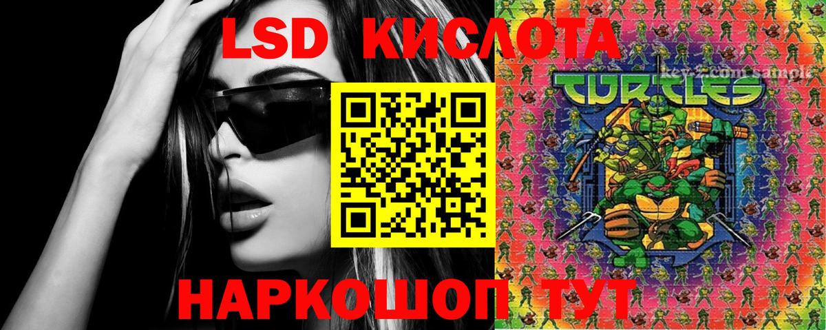 Донской  Марки N-bome 1,8мг  Марки N-bome 1,8мг  Вход с VPN 