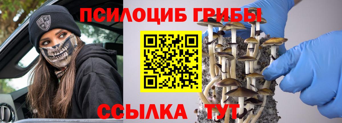 Галлюциногенные грибы Cubensis Донской